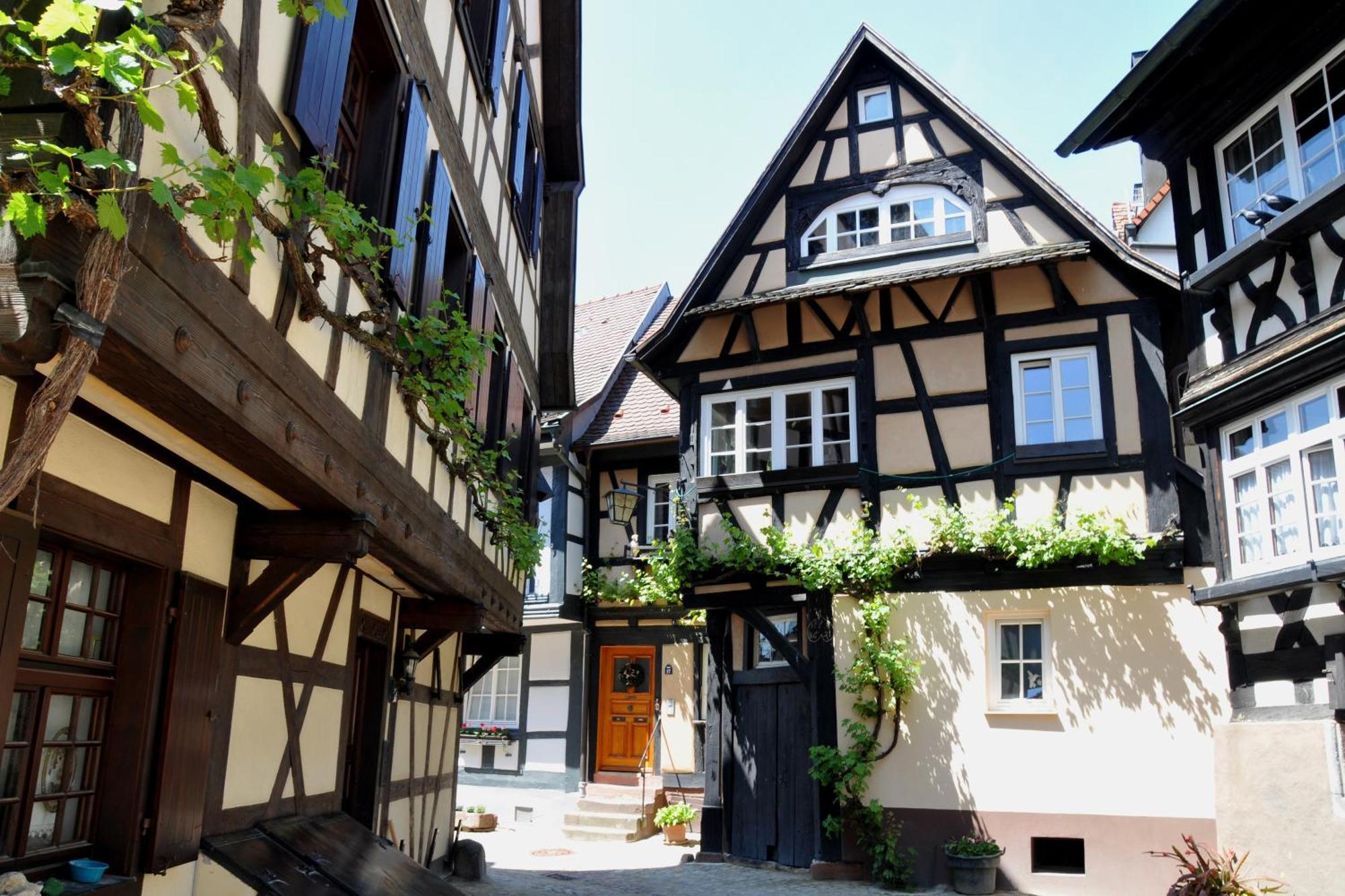 Ferienwohnung Sester Gengenbach Esterno foto
