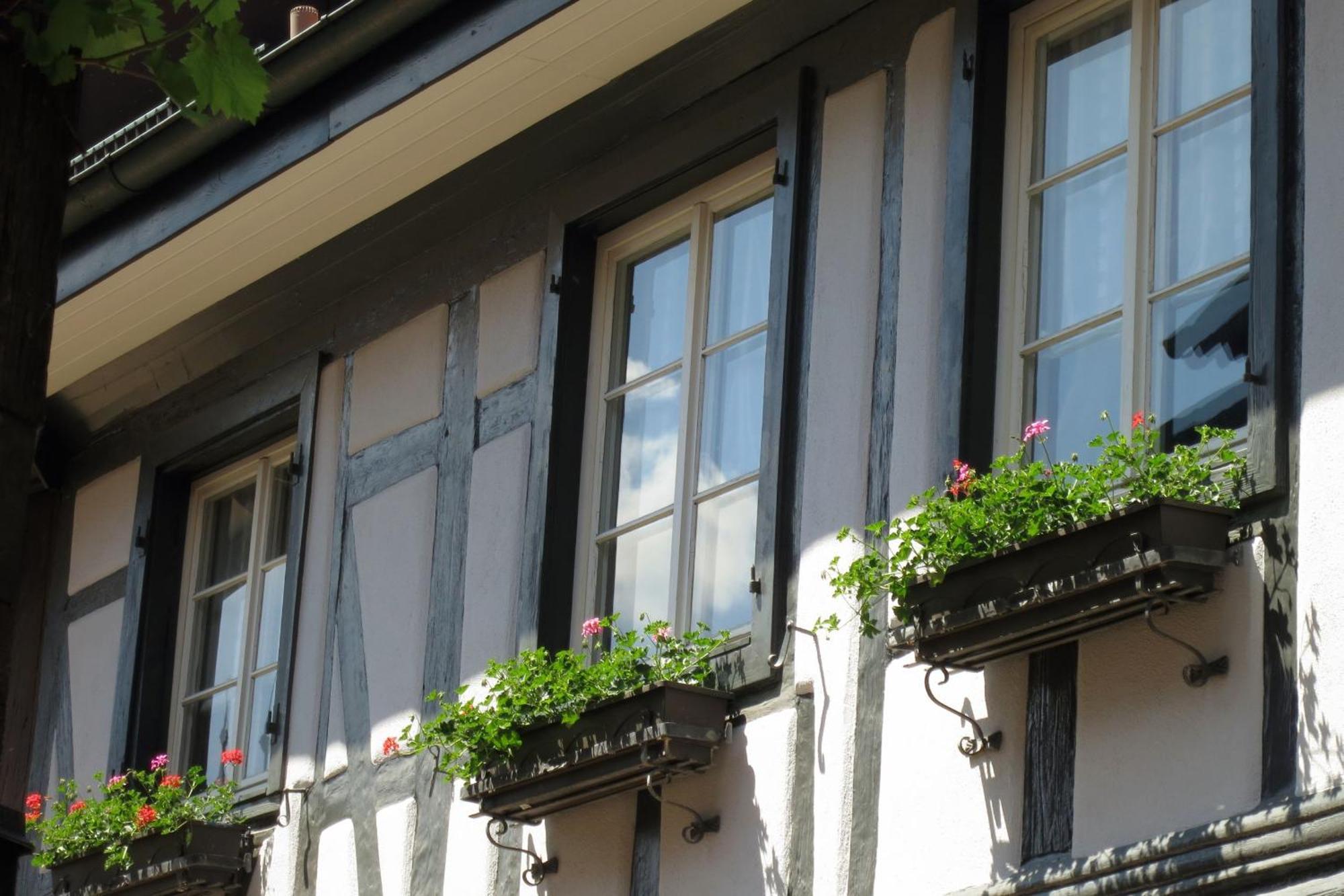 Ferienwohnung Sester Gengenbach Esterno foto