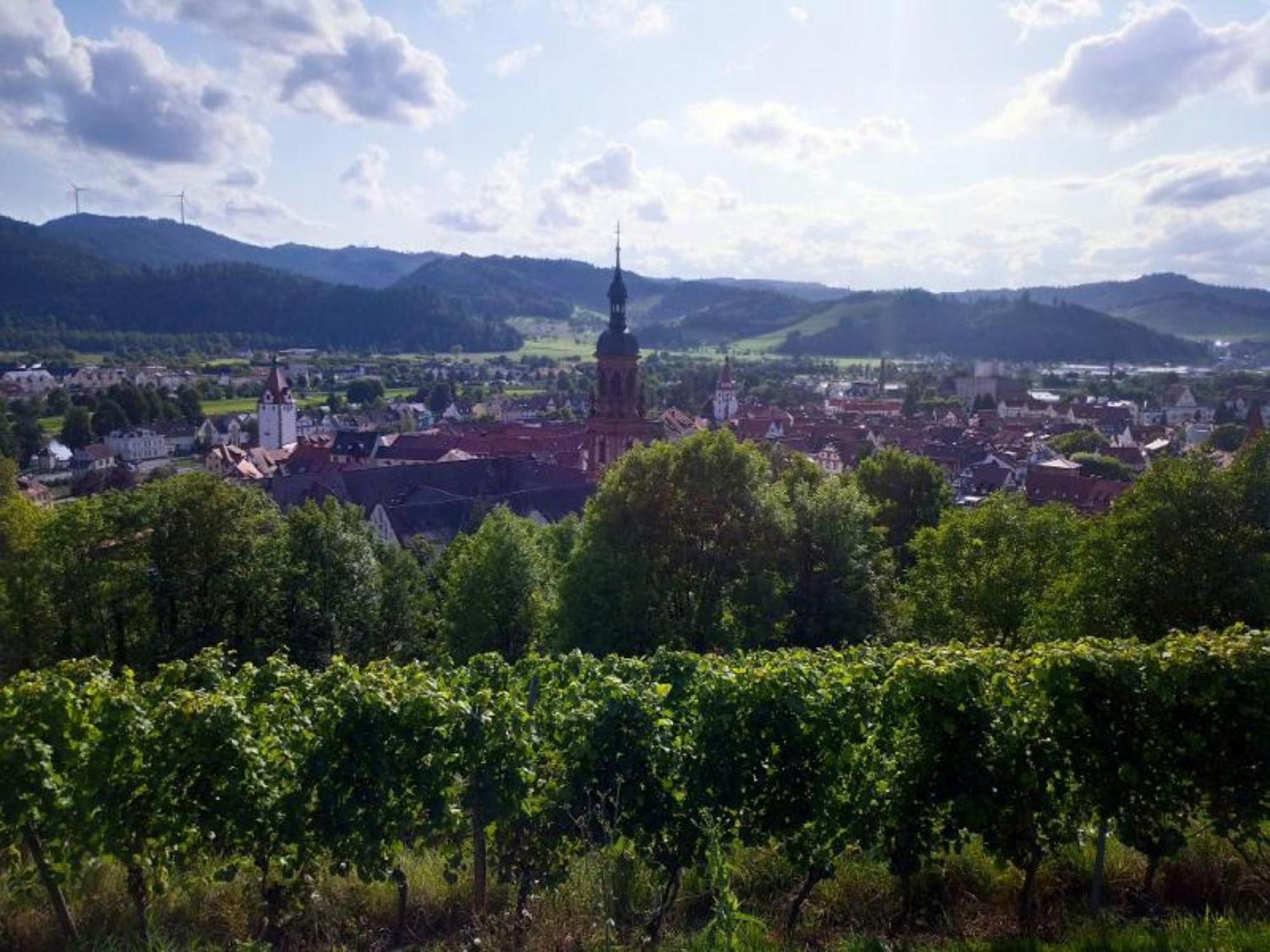 Ferienwohnung Sester Gengenbach Esterno foto